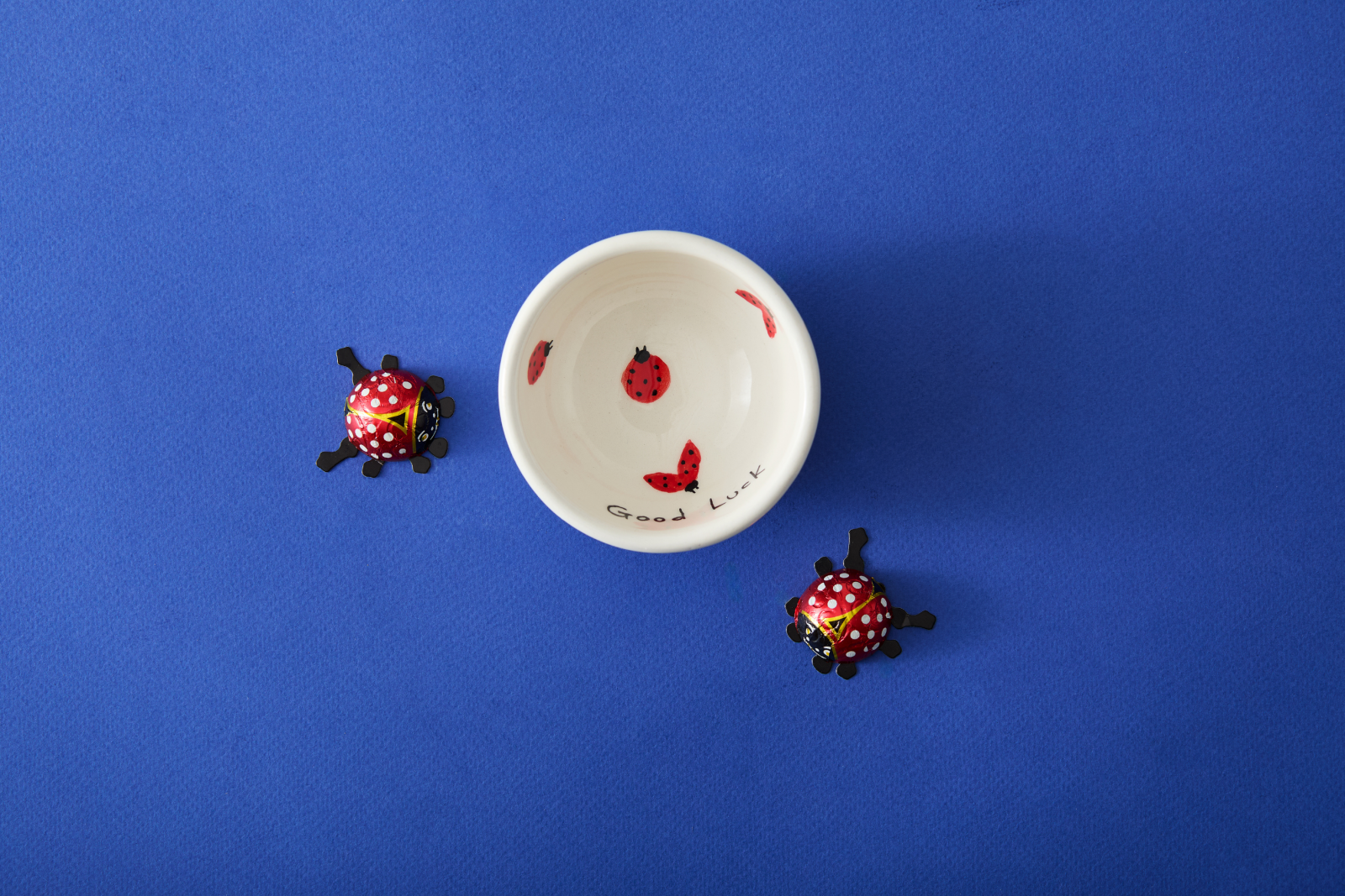 Love Bowls - Lady Bug